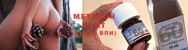 стафф Новозыбков