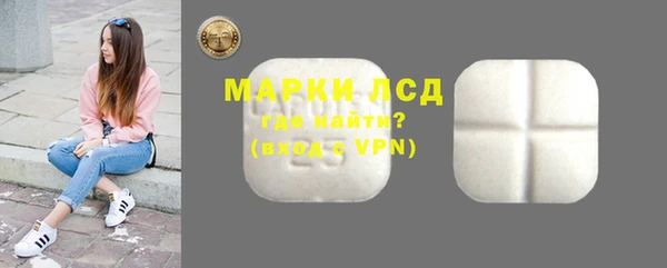 стафф Новозыбков