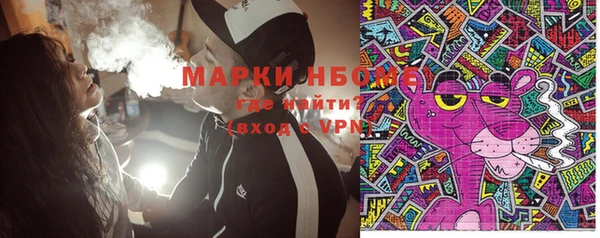 стафф Новозыбков