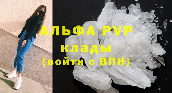 стафф Новозыбков