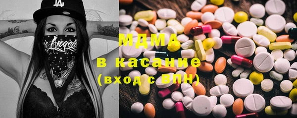 сатива Болотное