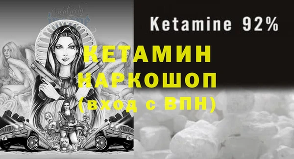 стафф Новозыбков