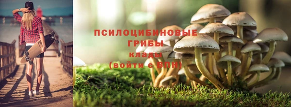 героин Новодвинск