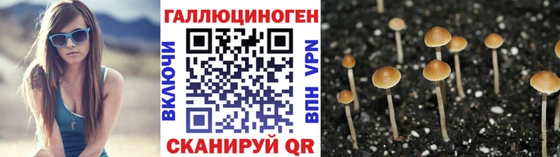 Псилоцибиновые грибы прущие грибы  omg ONION  Нефтегорск 